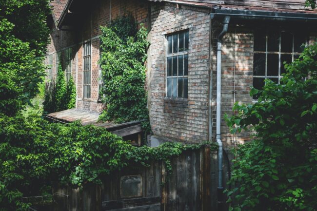 pexels-lumn-1040834_rand_dWLvqFfewt Historic Home